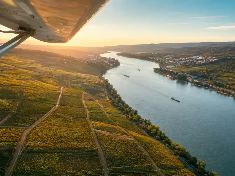 Rheingau und Rhein aus der Luft