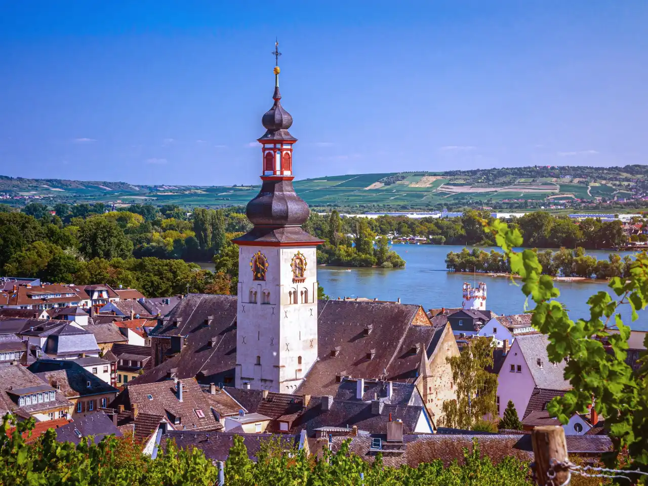 Rheingau und Rüdesheim aus der Luft